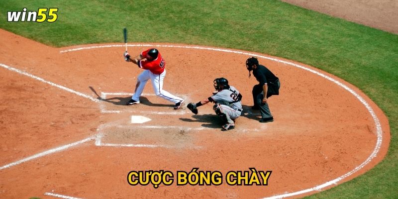 Bộ môn cược bóng chày Win55 có dễ hiểu đối với người Việt không?