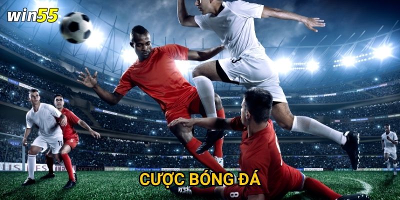 Tại sao cược bóng đá lại thu hút đông đảo thành viên Win55?