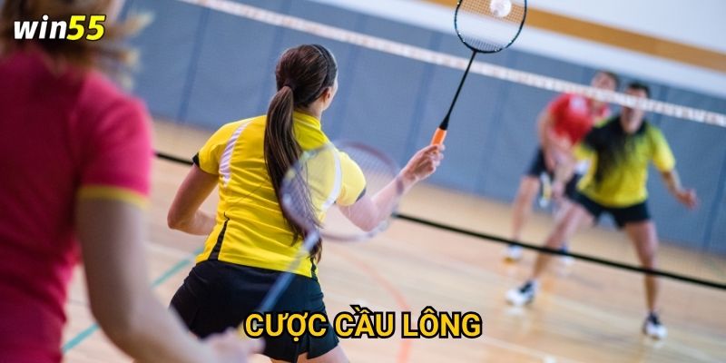 Có nên thử cược cầu lông để đa dạng hóa cơ hội thắng Win55?