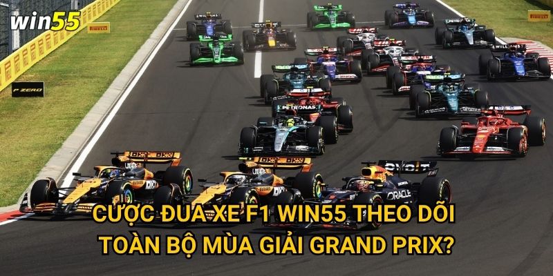 Cường độ cược đua xe F1 Win55 có phù hợp với tốc độ cuộc đua không? 2 Cược đua xe F1 Win55 theo dõi toàn bộ mùa giải Grand Prix